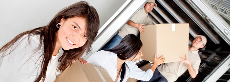 Professional Removalists Arrowsmith East